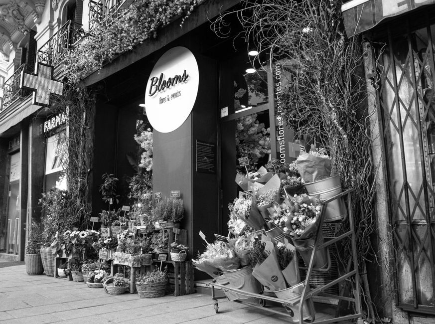 Offrir des fleurs quand on ne connaît pas les goûts